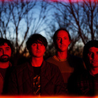 Animal Collective. Animal Collective.