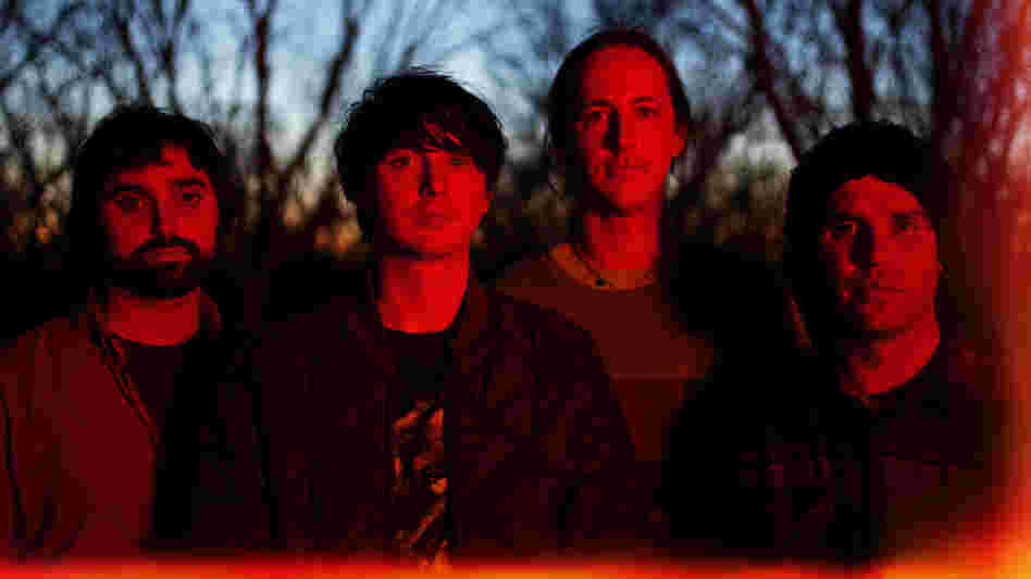 Animal Collective.