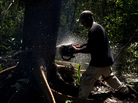 Agustin Villa cuts down a tree in the Amazon jungle, in Santa Cruz province, Bolivia, 2012. Agustin Villa cuts down a tree in the Amazon jungle, in Santa Cruz province, Bolivia, 2012.