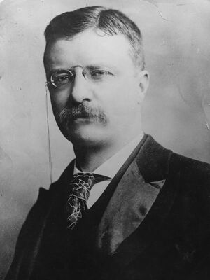 In this 1906 image, President Theodore Roosevelt (1858 - 1919) has noticeable swagger. In this 1906 image, President Theodore Roosevelt (1858 - 1919) has noticeable swagger.