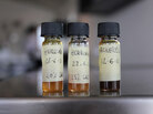 The Nordic Food Lab experiments with garum, a form of fish sauce familiar to the ancient Romans. The Nordic Food Lab experiments with garum, a form of fish sauce familiar to the ancient Romans.