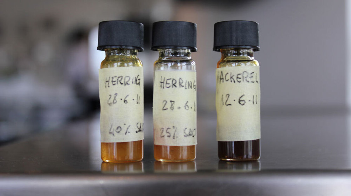 The Nordic Food Lab experiments with garum, a form of fish sauce familiar to the ancient Romans.