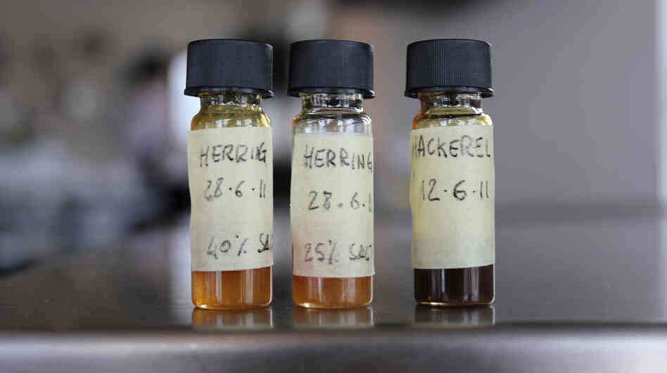The Nordic Food Lab experiments with garum, a form of fish sauce familiar to the ancient Romans.