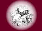 cover detail cover detail