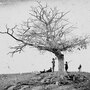 Alexander Gardner's original caption for this image: "A Lone Grave, on Battle-field of Antietam."