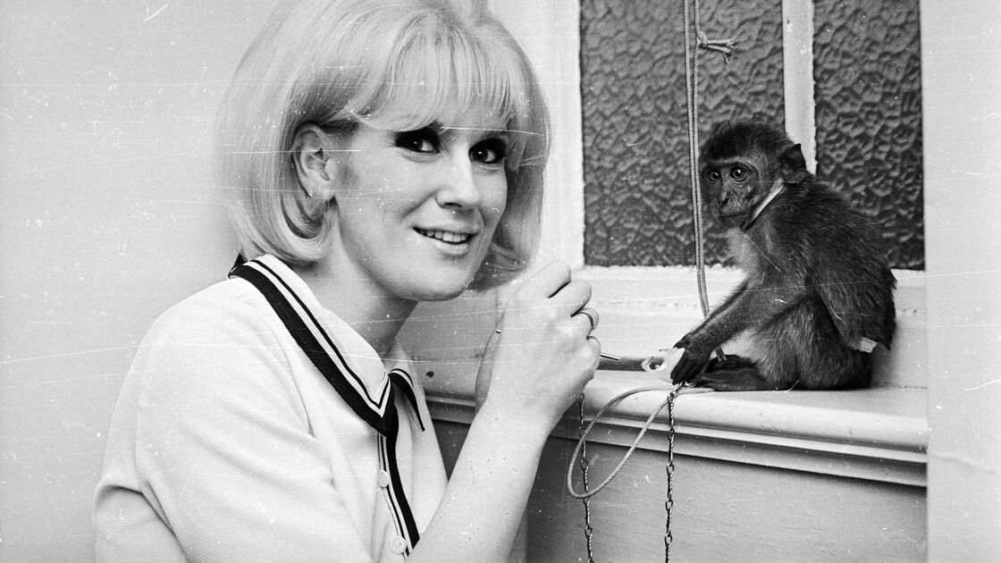 "Son of a Preacher Man" was Dusty Springfield's debut on Atlantic. The entire album that spawned it, Dusty in Memphis, was recorded at American Studios.