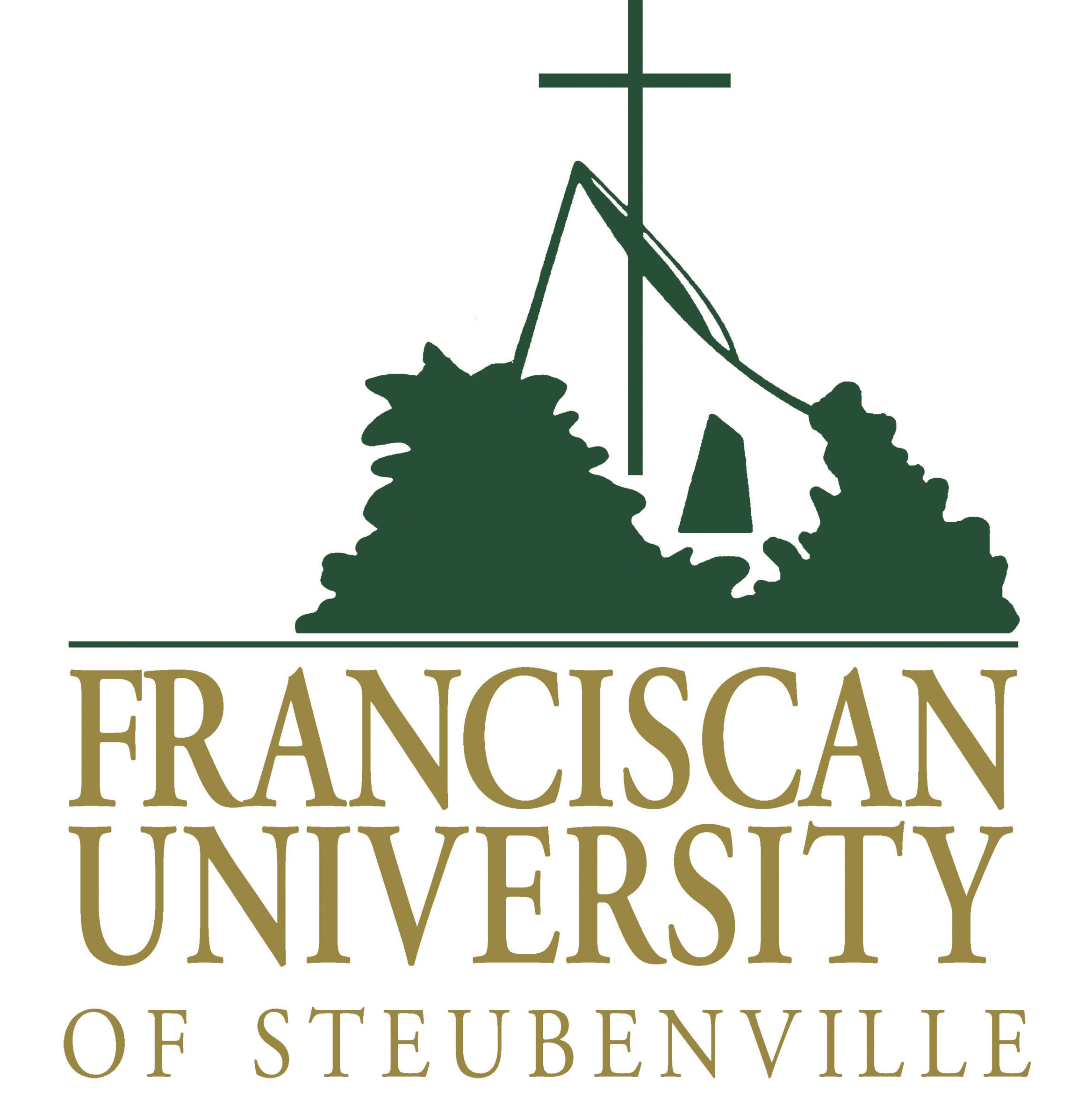 Gay and lesbian alumni of Franciscan University of Steubenville in Ohio are troubled by the course description for a social work program class.