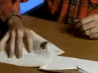 From 1990's Sen. Jesse Helms "White Hands" campaign ad. From 1990's Sen. Jesse Helms "White Hands" campaign ad.
