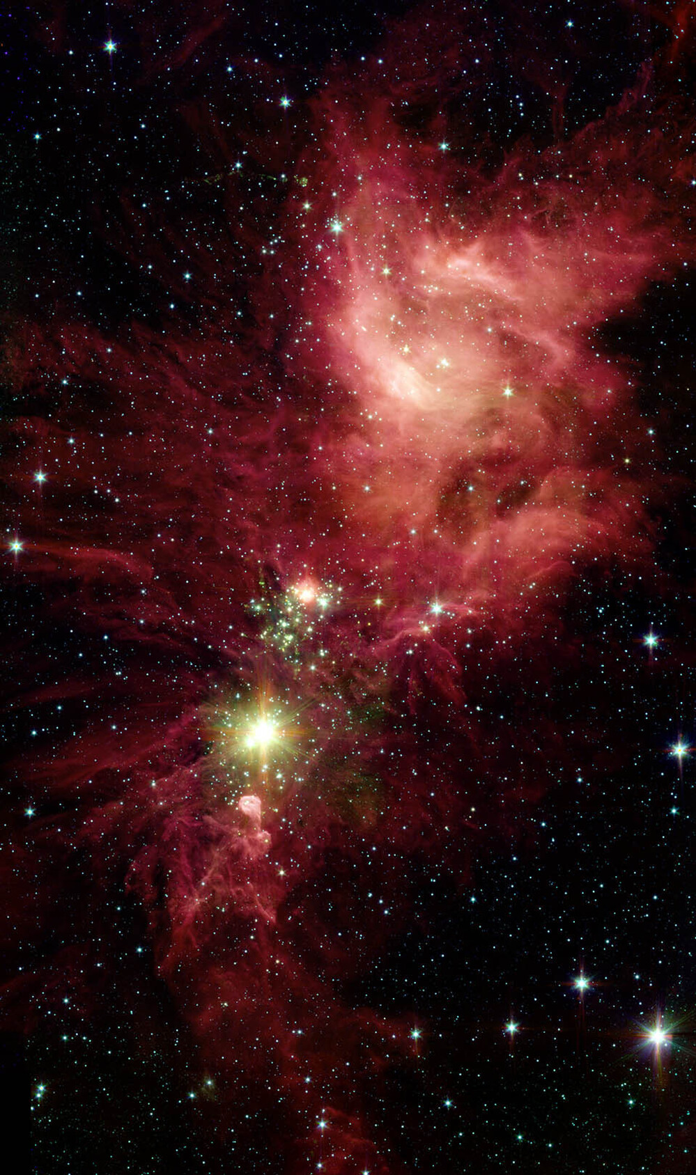 Newborn stars, hidden behind thick dust, are revealed in this image of a section of the Christmas Tree Cluster from NASA's Spitzer Space Telescope.  Star-forming clouds like this one are dynamic and evolving structures. Since the stars trace the straight line pattern of spokes of a wheel, scientists believe that these are newborn stars — or "protostars" — about 100,000 years old.