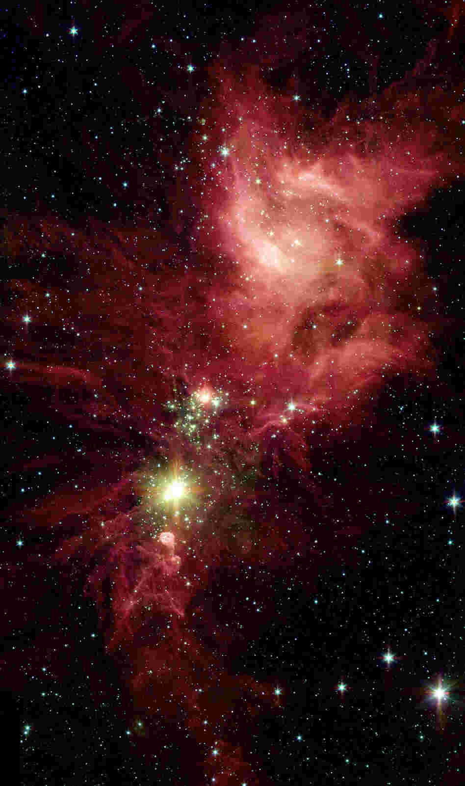 Newborn stars, hidden behind thick dust, are revealed in this image of a section of the Christmas Tree Cluster from NASA's Spitzer Space Telescope.  Star-forming clouds like this one are dynamic and evolving structures. Since the stars trace the straight line pattern of spokes of a wheel, scientists believe that these are newborn stars — or "protostars" — about 100,000 years old.