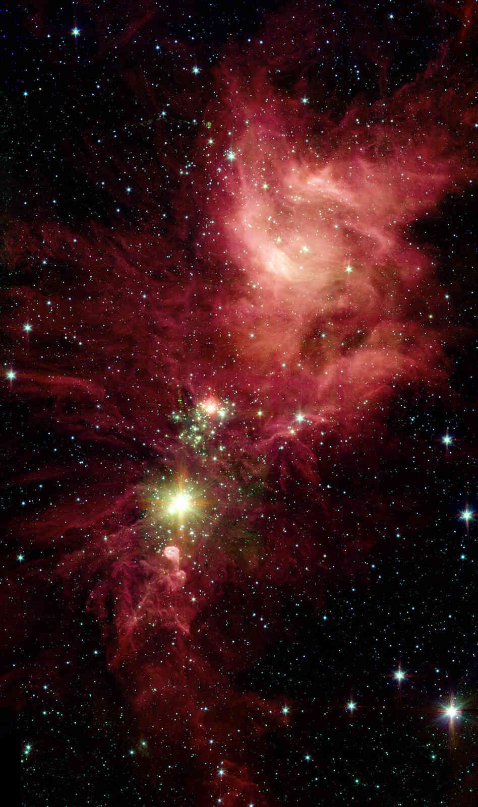 Newborn stars, hidden behind thick dust, are revealed in this image of a section of the Christmas Tree Cluster from NASA's Spitzer Space Telescope.  Star-forming clouds like this one are dynamic and evolving structures. Since the stars trace the straight line pattern of spokes of a wheel, scientists believe that these are newborn stars — or "protostars" — about 100,000 years old.