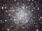 Stars in the constellation of Lyra. Stars in the constellation of Lyra.
