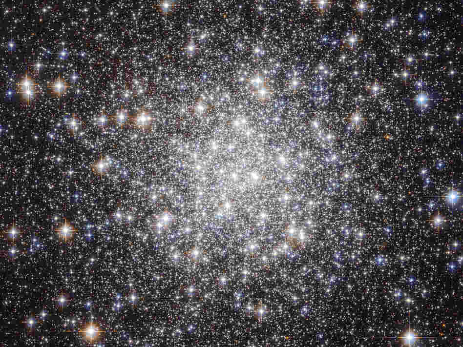 Stars in the constellation of Lyra.