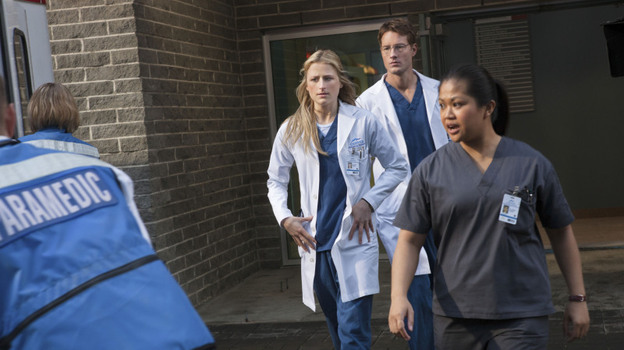 Mamie Gummer stars as the title character in Emily Owens, M.D., the best new show on broadcast television this fall.