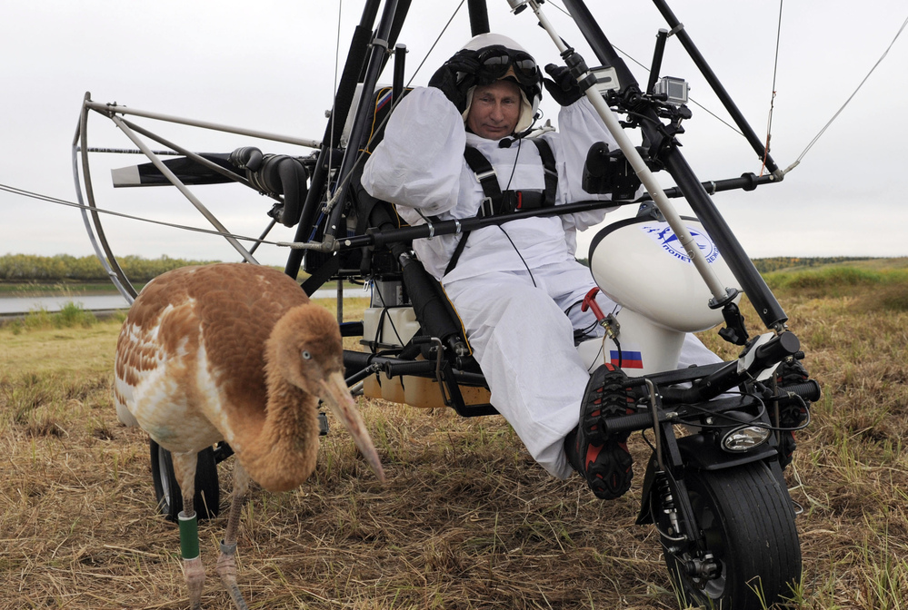 Russian President Vladimir Putin prepares to pilot a hang glider to lead a flock of cranes to their winter habitat.