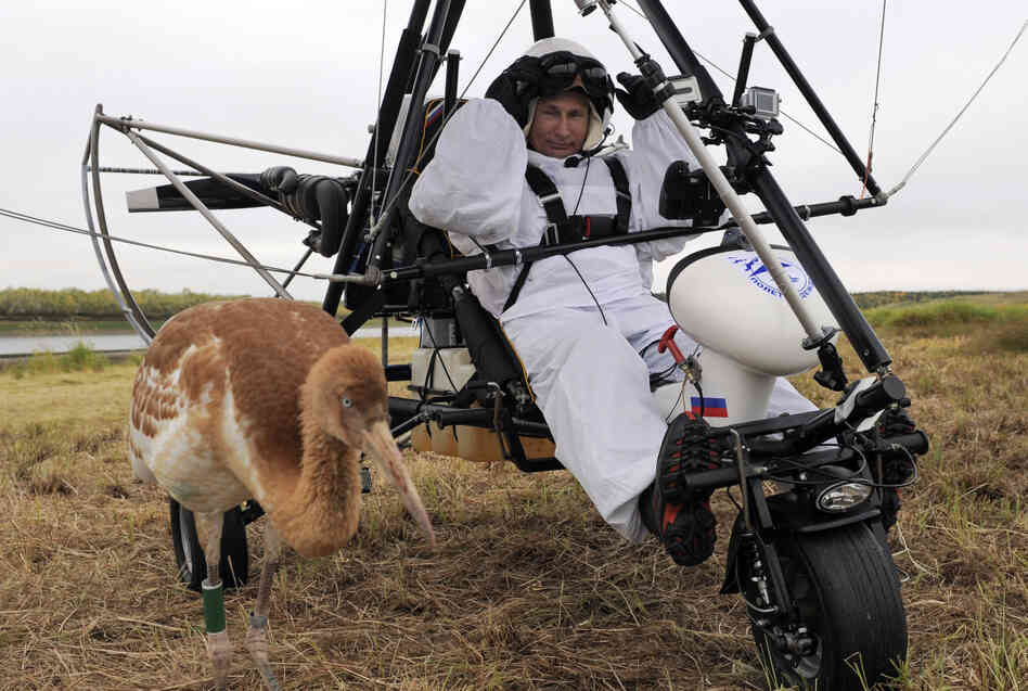 Russian President Vladimir Putin prepares to pilot a hang glider to lead a flock of cranes to their winter habitat.