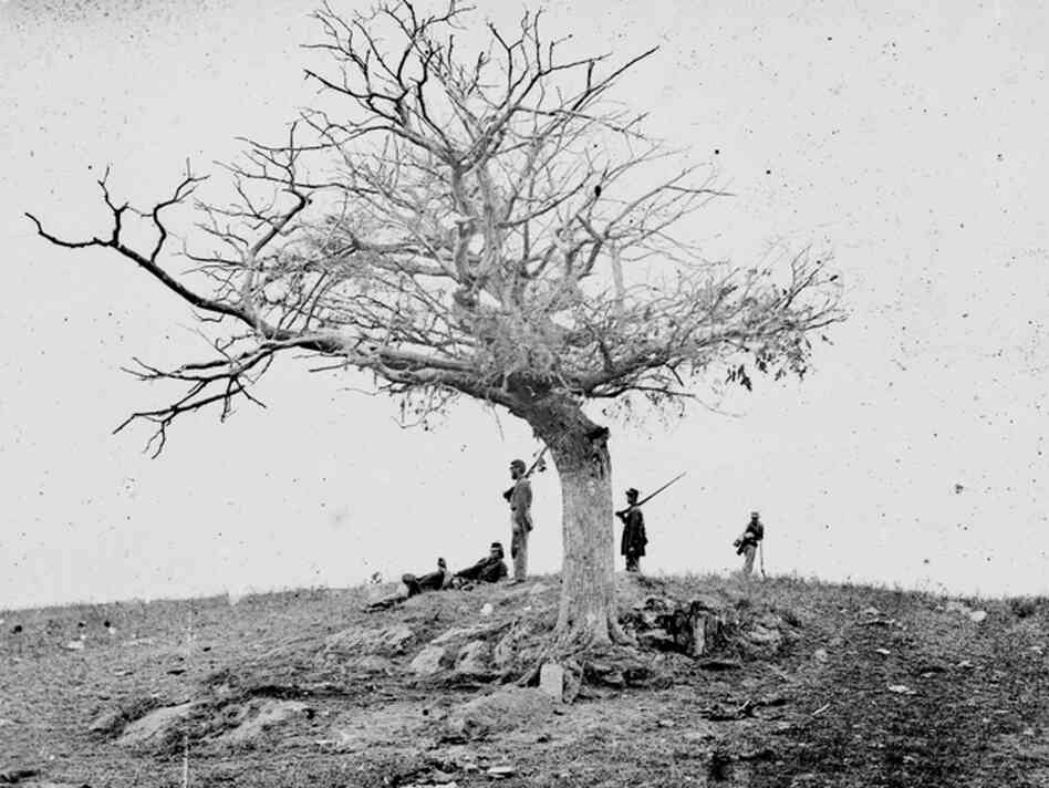 Alexander Gardner's original caption for this image was "A Lone Grave, on Battle-field of Antietam."