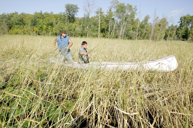 Joe Hoagland, left, pushes a canoe through a wild rice bed as 14-year-old Chris Salazar learns how to harvest the rice.