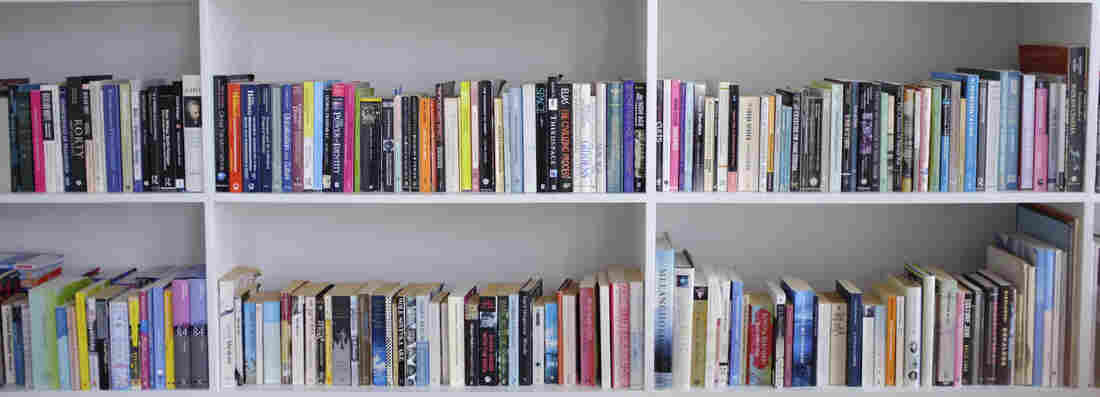 shelves of books shelves of books