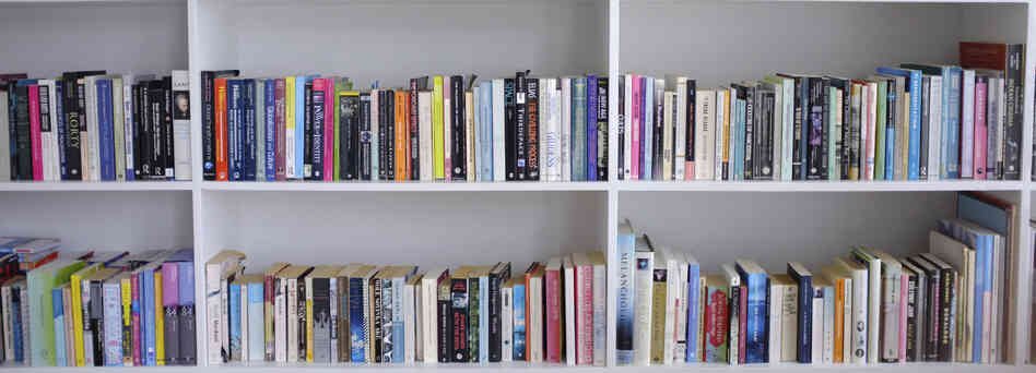 shelves of books shelves of books