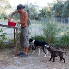 Apostolos Sianos, 31, quit his Web designer job in Athens to help establish the Telaithrion eco-commune. Here he mixes food for the commune's dogs. Apostolos Sianos, 31, quit his Web designer job in Athens to help establish the Telaithrion eco-commune. Here he mixes food for the commune's dogs.