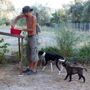 Apostolos Sianos, 31, quit his Web designer job in Athens to help establish the Telaithrion eco-commune. Here he mixes food for the commune's dogs.