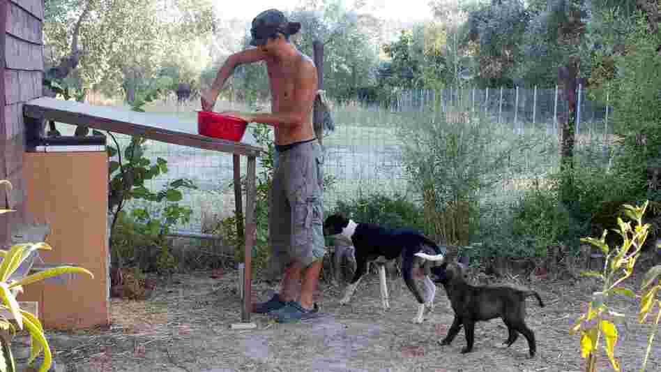 Apostolos Sianos, 31, quit his Web designer job in Athens to help establish the Telaithrion eco-commune. Here he mixes food for the commune's dogs.
