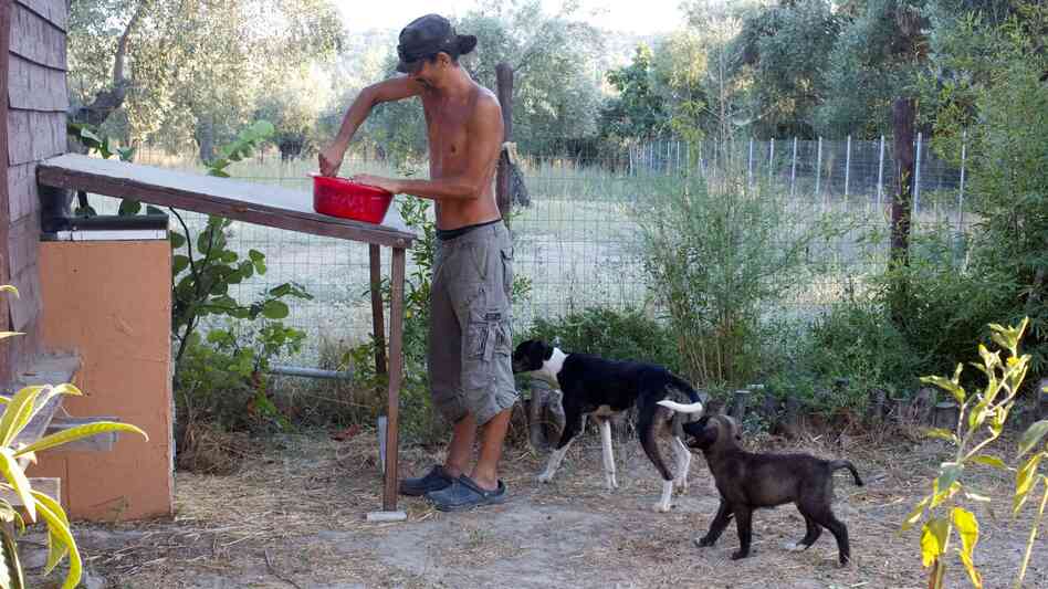 Apostolos Sianos, 31, quit his Web designer job in Athens to help establish the Telaithrion eco-commune. Here he mixes food for the commune's dogs.