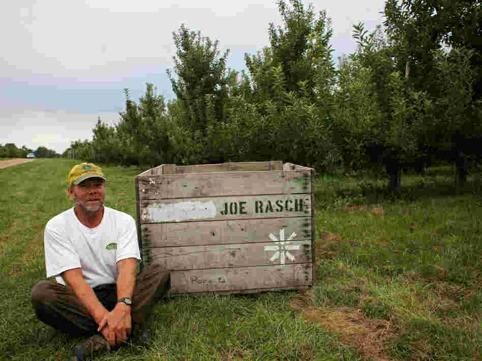 Joe Rasch has been a full-time apple grower for nearly 20 years. He says that this year, he's having trouble filling his bins.