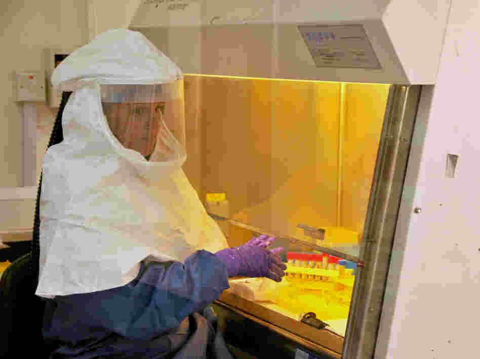 A medical worker from the U.S. Centers for Disease Control and Prevention works at the laboratory where Ebola specimens from the Congo were tested at the start of the latest outbreak.