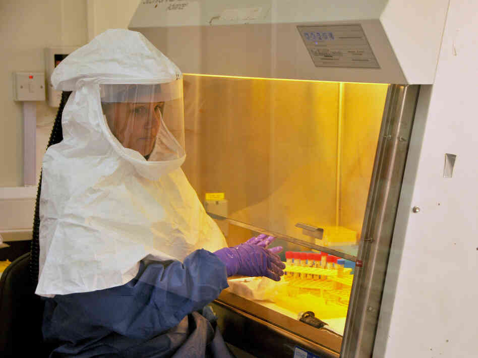 A medical worker from the U.S. Centers for Disease Control and Prevention works at the laboratory where Ebola specimens from the Congo were tested at the start of the latest outbreak.