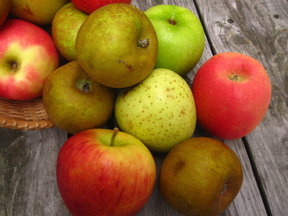 Apples spilling out of a basket