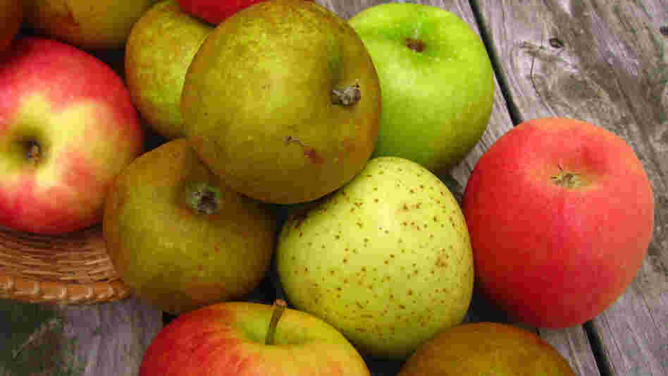 Apples spilling out of a basket