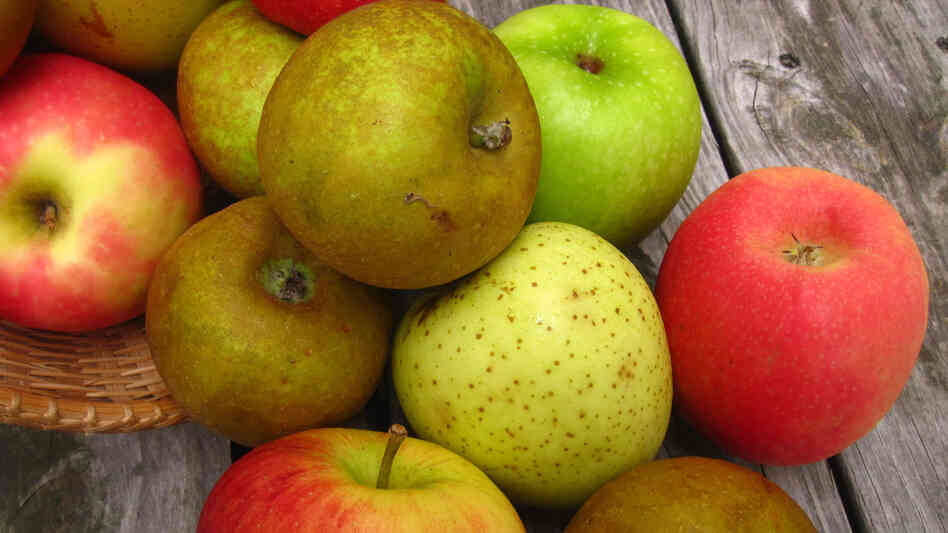 Apples spilling out of a basket