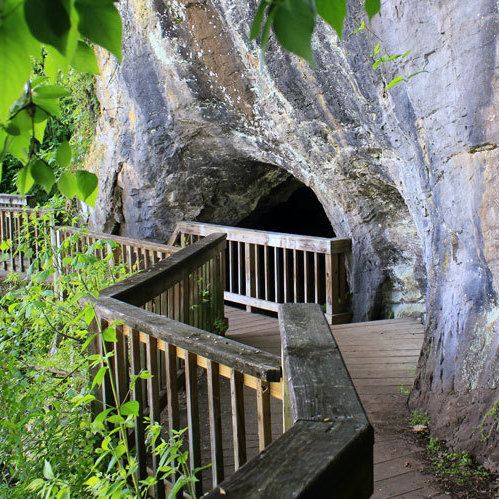 Cindy Bandy says the Ijams Nature Center in Knoxville, Tenn., is one of her favorite places in the city for finding beautiful sights and sounds.