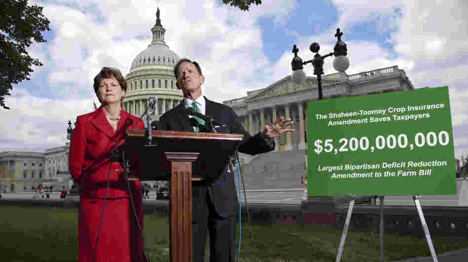 Sens. Jeanne Shaheen, D-N.H., and Pat Toomey, R-Pa., talk to reporters about the farm bill at the U.S. Capitol in June.