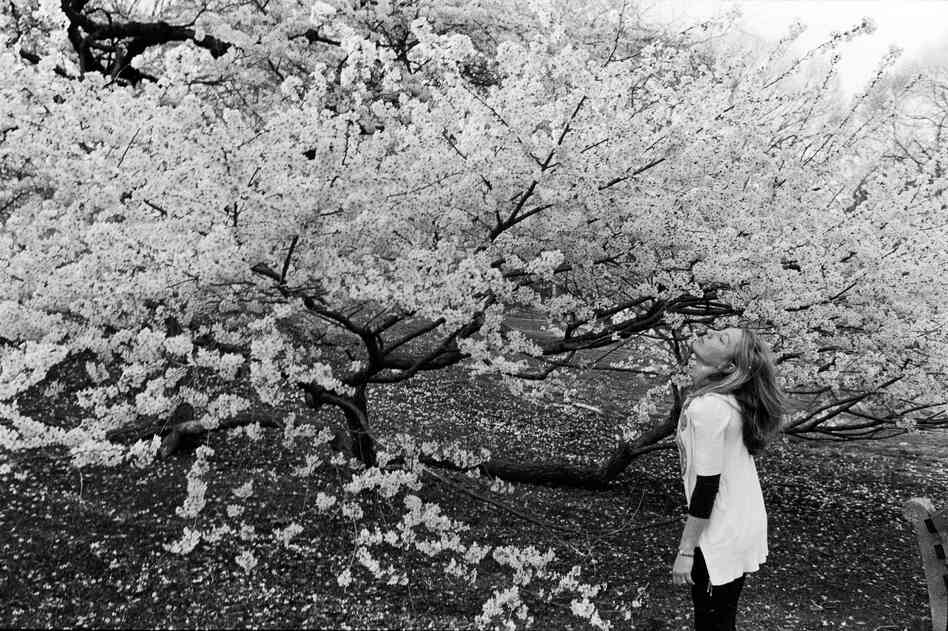 Woman smelling flowers in Central Park, New York City, N.Y., 2005