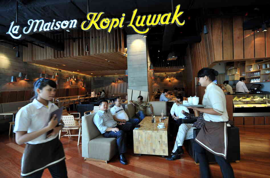 At a coffee shop in Indonesia, one cup of kopi luwak can go for around $9 U.S.