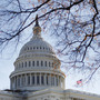 Economists hope lawmakers can avert a "fiscal cliff" after November's election, but what if Congress runs out of time? Economists hope lawmakers can avert a "fiscal cliff" after November's election, but what if Congress runs out of time?