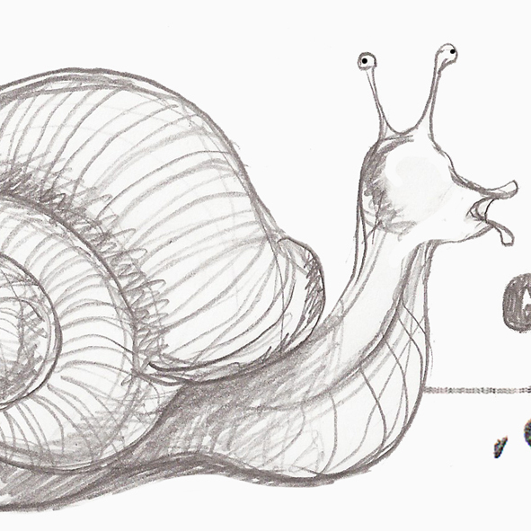 Garden snail.