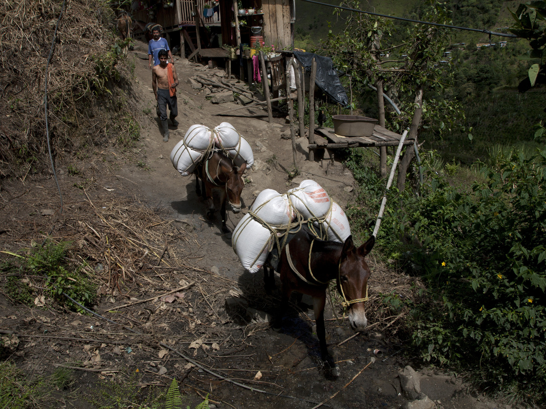 Farmers bring goods to town in the hamlet of Villanueva in Tolima state on Sept. 7. Travel in this mountainous region usually takes place by mule or horse.