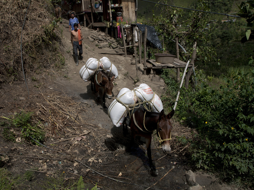 Farmers bring goods to town in the hamlet of Villanueva in Tolima state on Sept. 7. Travel in this mountainous region usually takes place by mule or horse.