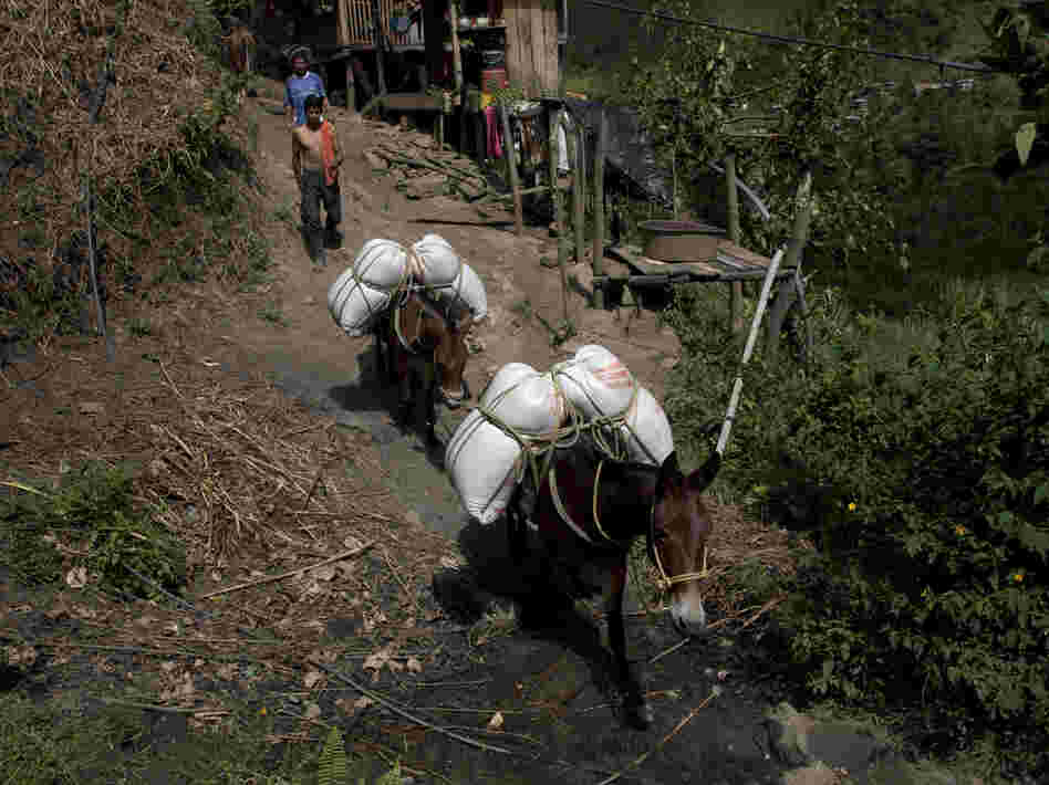Farmers bring goods to town in the hamlet of Villanueva in Tolima state on Sept. 7. Travel in this mountainous region usually takes place by mule or horse.