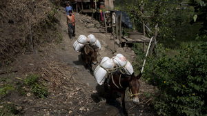 Farmers bring goods to town in the hamlet of Villanueva in Tolima state on Sept. 7. Travel in this mountainous region usually takes place by mule or horse.