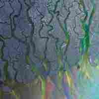 cover cover