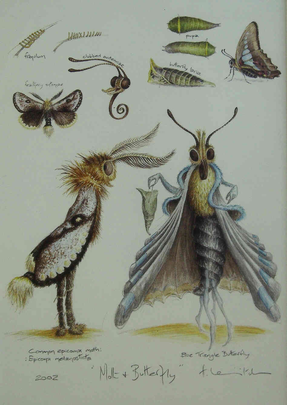 In the couple's suburban Maryland home is this artwork, a wedding present, of a moth courting a butterfly. In the couple's suburban Maryland home is this artwork, a wedding present, of a moth courting a butterfly.