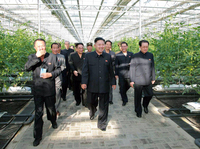 North Korean leader Kim Jong Un (center) visits the Pyongyang Vegetable Science Institute in the country's capital in this undated picture released by North Korea's official Korean Central News Agency (KCNA) via the Korean News Service on Sept. 22.