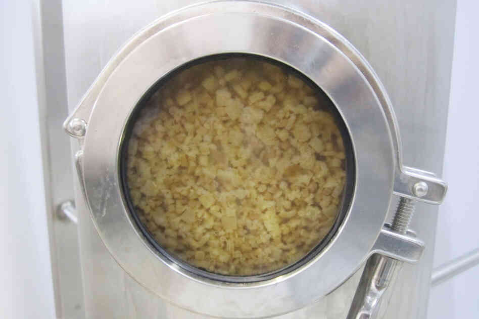 Maine Mead Works uses yeast to ferment its honey that originated on a ginger root brought over from South Africa by scientist and mead expert Garth Cambray.