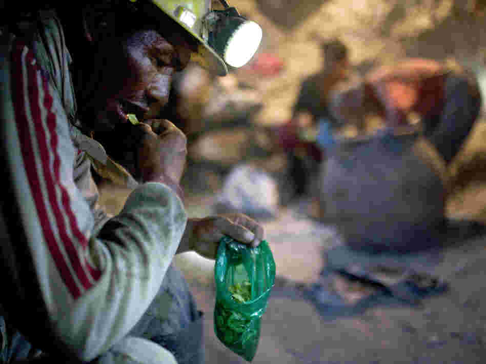 Elogio Tola, 45, a miner since he was a boy, takes a break with coca leaves, chewing bagfuls to ward off hunger and exhaustion in the Cerro Rico silver mines in Potosi last month.