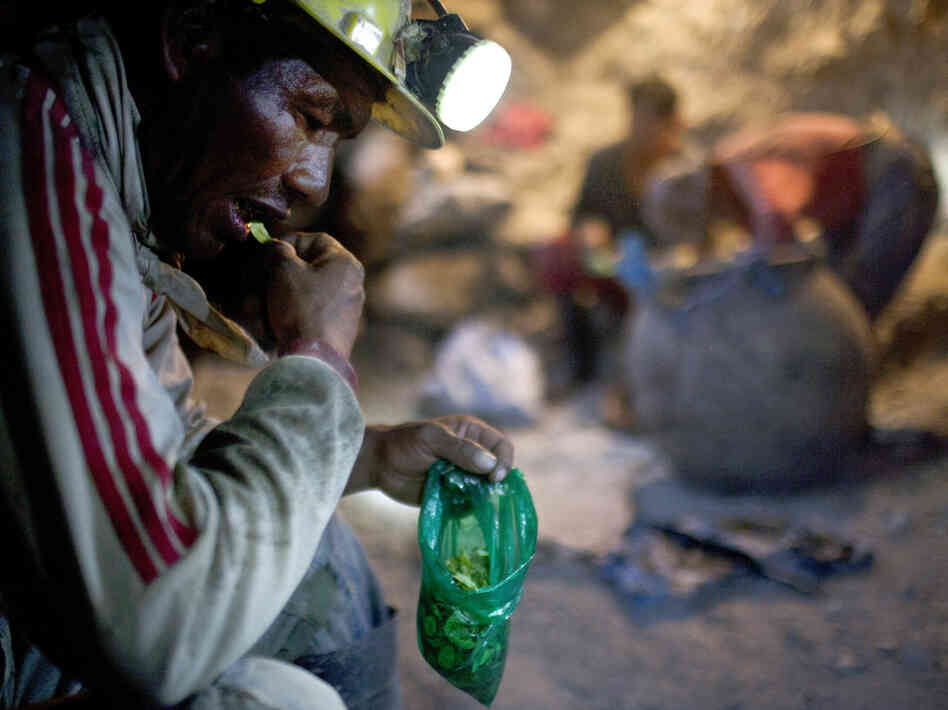 Elogio Tola, 45, a miner since he was a boy, takes a break with coca leaves, chewing bagfuls to ward off hunger and exhaustion in the Cerro Rico silver mines in Potosi last month.